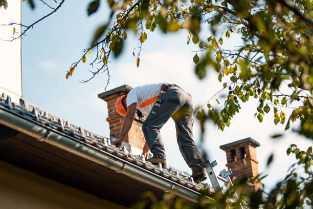 Best Storm Damage Roof Repair  in Glenwood City, WI