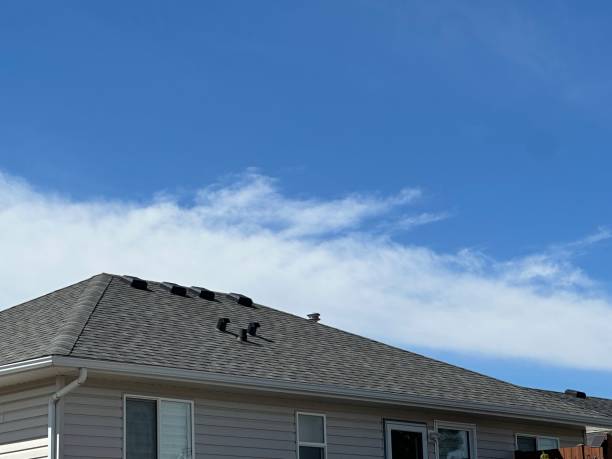 Best Wood Shake Roofing  in Glenwood City, WI